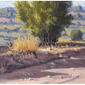 Tahir Bilal Ummi, 12 x 12 Inch, Oil on Canvas, Landscape Painting, AC-TBL-033
